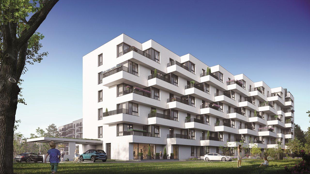 Alinea Najlepsze Alinea Najlepsze