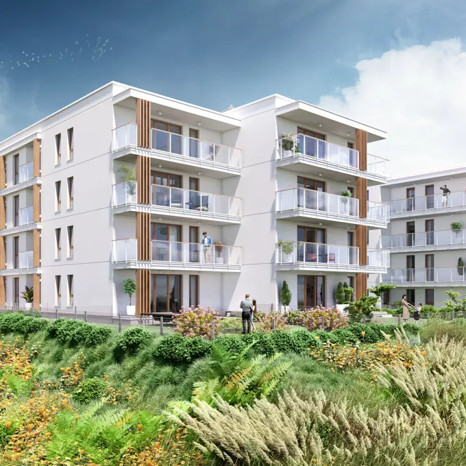 NARCYZOWA 2.Etap 3 01