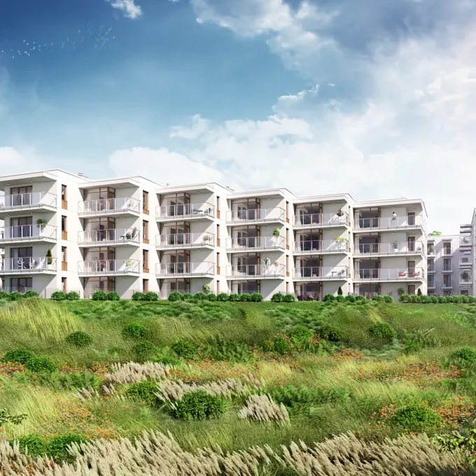 NARCYZOWA 2.Etap 2 01