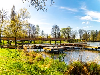 Revitalizace rybníku Stráž v Pelhřimově - CZ