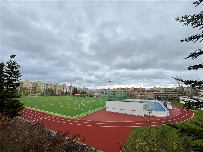 Rekonstrukce sportovního areálu ZŠ, ul. Kralovická, Plzeň - Kompetencje specjalistyczne