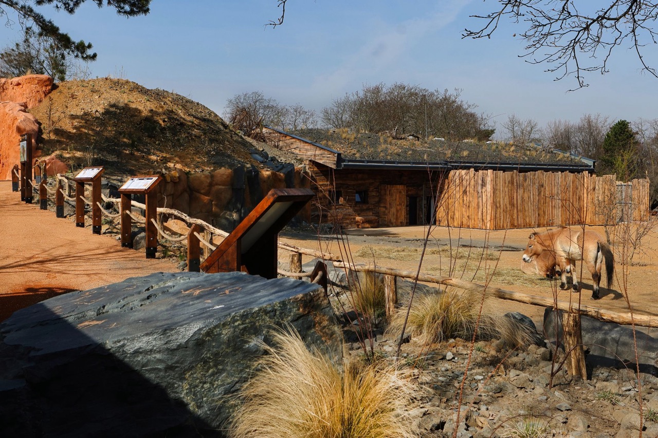 Zoo Praha – výběhy a stáje koní Převalského, pavilon drobných savců a plazů, voliéry manula - Budownictwo lądowe naziemne