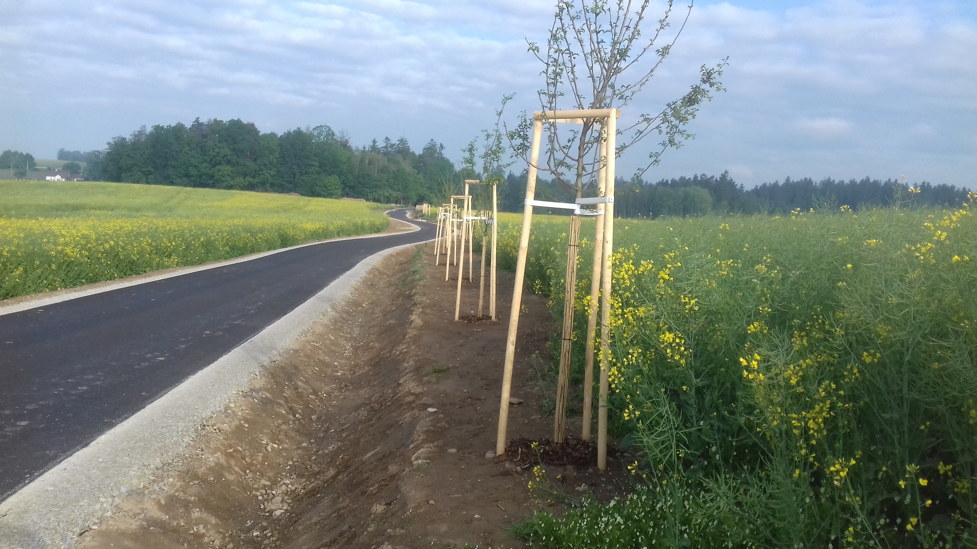 Cyklostezka – propojení katastrálních území Matná–Buk         - Budowa dróg i mostów